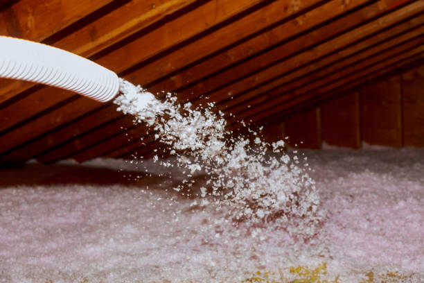 Best Insulation Maintenance and Repair in Butler Beach, FL