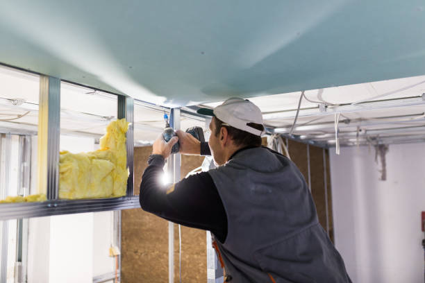 Best Cellulose Insulation in Butler Beach, FL