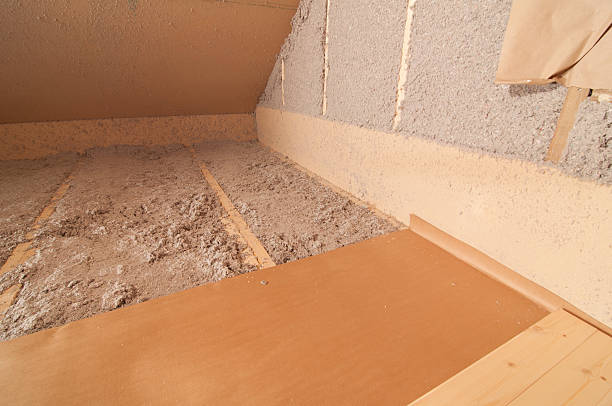 Best Specialized Insulation Services in Butler Beach, FL