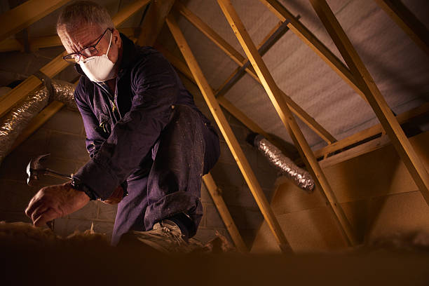 Trusted Butler Beach, FL Insulation Contractor Experts